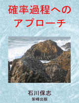確率過程アプローチ 確率過程アプローチ